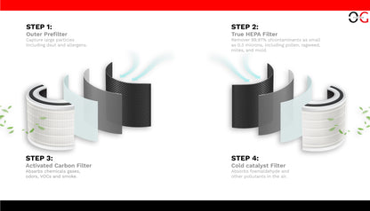 O.G ELECTRIC 2.0 ton 5 Star, Inverter Split AC (Copper, 4-in-1 Adjustable Mode, Anti-dust Filter, ASG245IOG, White)